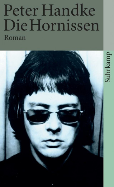 Die Hornissen: Roman (suhrkamp taschenbuch)