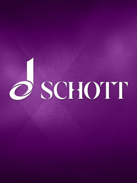 Die Violine: Eine Einführung in die Geschichte der Violine und des Violinspiels (Unsere Musikinstrumente)
