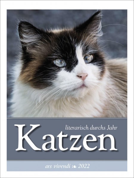 Katzen - literarisch durchs Jahr 2022