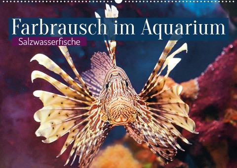 Farbrausch im Aquarium: Salzwasserfische (Wandkalender 2023 DIN A2 quer)