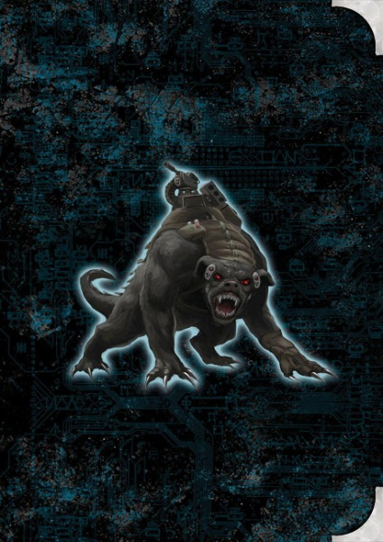 Shadowrun: Schattendossier 3 *limitierte Ausgabe*