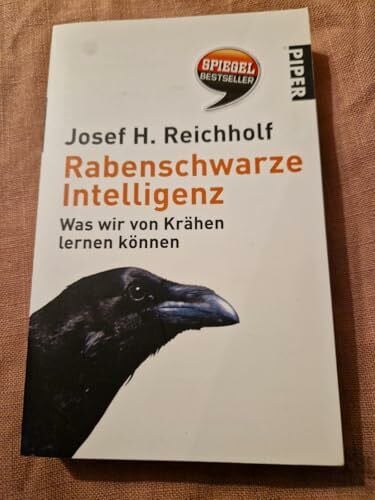Rabenschwarze Intelligenz: Was wir von Krähen lernen können