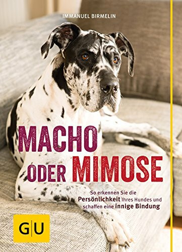 Macho oder Mimose: So erkennen Sie die Persönlichkeit Ihres Hundes und schaffen eine innige Bindung (GU Tier Spezial)