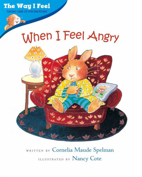 When I Feel Angry (The Way I Feel Books)
