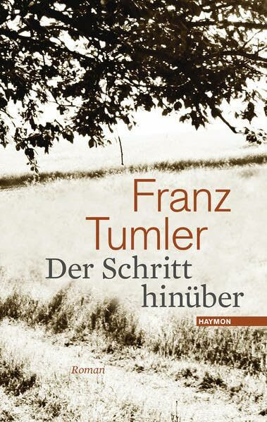 Der Schritt hinüber. Roman