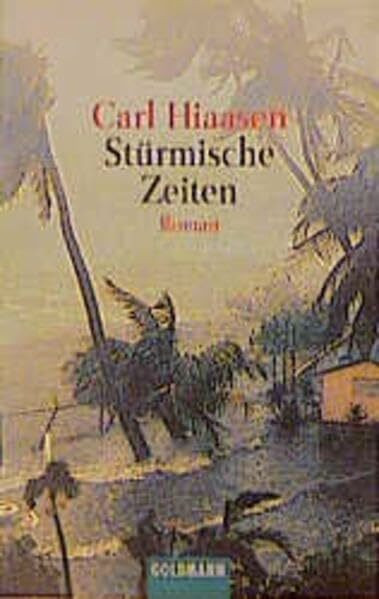 Stürmische Zeiten (Goldmann Allgemeine Reihe)