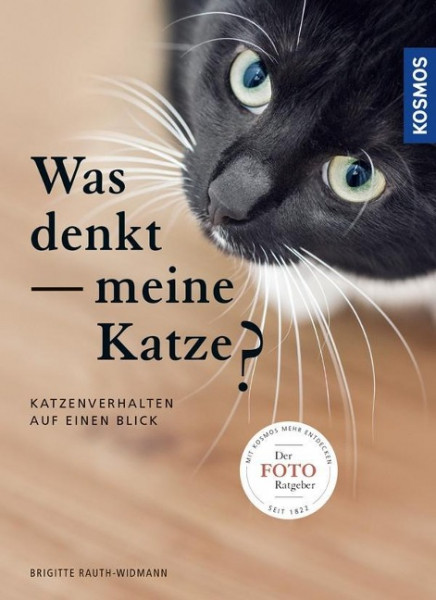 Was denkt meine Katze