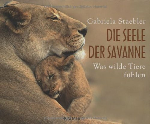 Die Seele der Savanne: Wie wilde Tiere fühlen