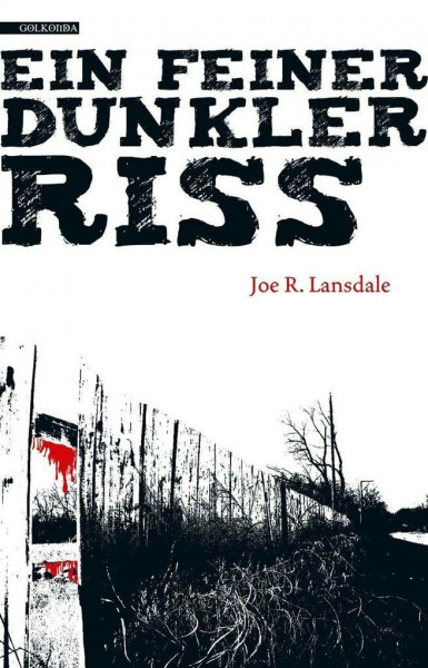 Ein feiner dunkler Riss: Deutsche Erstausgabe