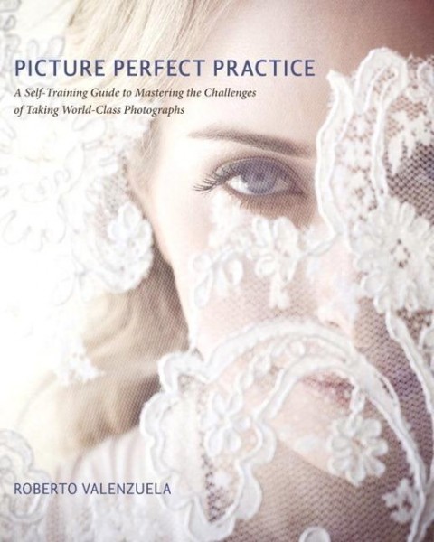 Picture Perfect Practice: A Self-Training Guide to Mastering the Challenges of Taking World-Class Ph