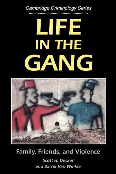 Life in the Gang: Family, Friends, and Violence (Cambridge Criminology Series)
