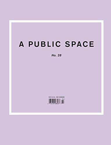 Public Space No. 28 (A Public Space, Band 28)