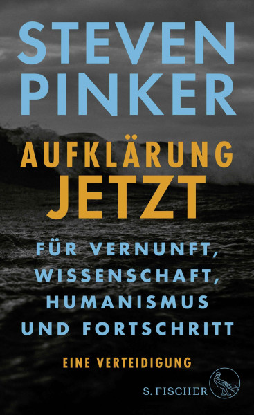 Aufklärung jetzt: Für Vernunft, Wissenschaft, Humanismus und Fortschritt. Eine Verteidigung