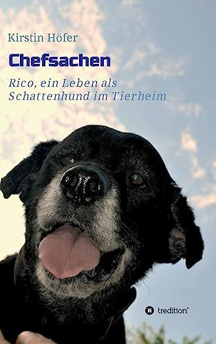 Chefsachen: Rico - ein Leben als Schattenhund im Tierheim