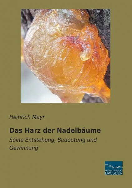 Das Harz der Nadelbäume