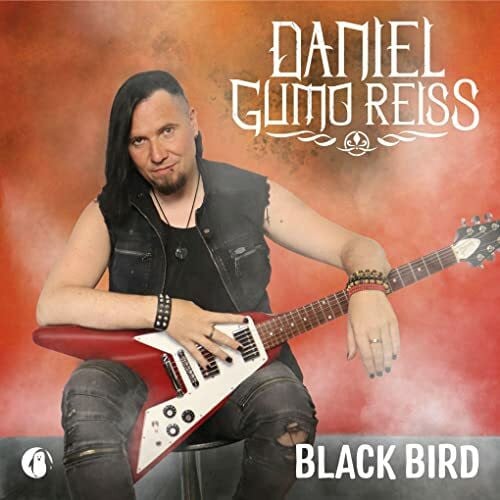 Black Bird - Die Musik zum Buch DrahtseilTakt von Antonia Vitz