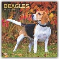 Beagles 2020 - 18-Monatskalender mit freier DogDays-App