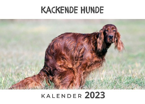 Kackende Hunde