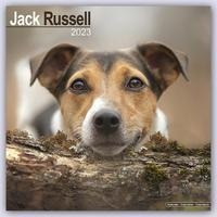 Jack Russell Terrier 2023 - 16-Monatskalender