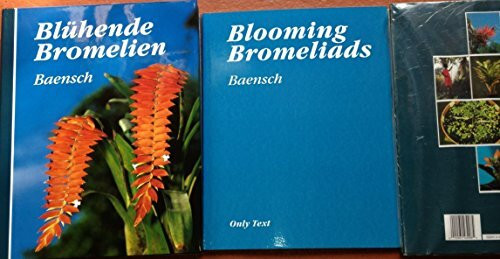 Blühende Bromelien
