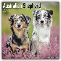 Australian Shepherds - Australische Schäferhunde 2022 - 18-Monatskalender mit freier DogDays-App