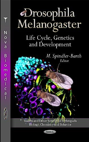 Drosophila Melanogaster: Life Cycle, Genetics & Development (Insects and Other Terrestrial Arthropods: Biology, Chemistry and Behavior)