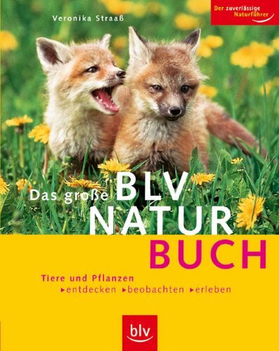 Das grosse BLV Naturbuch: Tiere und Pflanzen entdecken, beobachten, erleben. Der zuverlässige Naturführer
