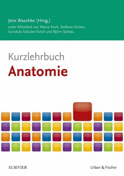 Kurzlehrbuch Anatomie (Kurzlehrbücher)
