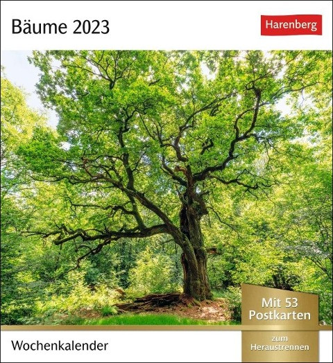 Bäume Postkartenkalender 2023