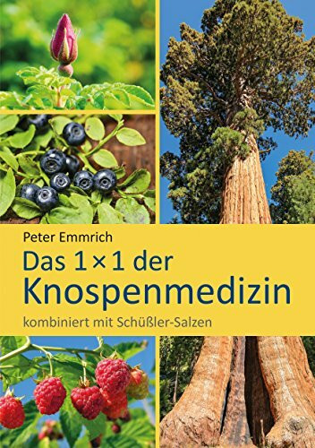 Das 1×1 der Knospenmedizin: kombiniert mit Schüßler-Salzen