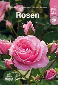 Rosen