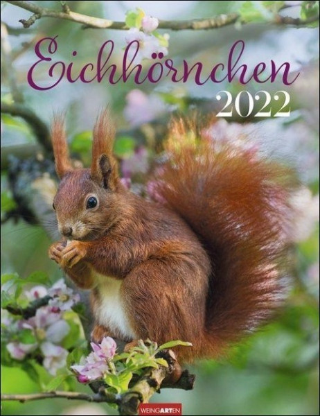 Eichhörnchen Kalender 2022