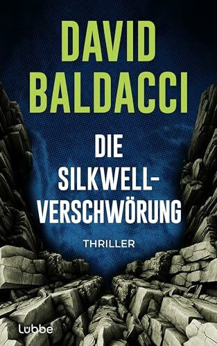 Die Silkwell-Verschwörung: Thriller. Ein Mord an einer CIA-Agentin. Amerikas schmutzigste Geheimnisse. Ein neuer Fall für Travis Devine (Die Travis-Devine-Serie, Band 2)