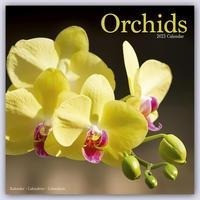 Orchids - Orchideen 2023 - 16-Monatskalender