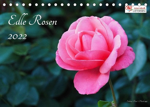 Edle Rosen (Tischkalender 2022 DIN A5 quer)