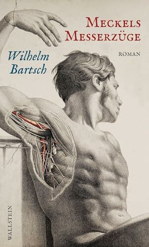 Meckels Messerzüge: Roman
