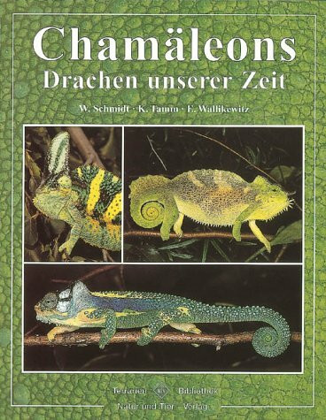 Chamäleons: Drachen unserer Zeit (Terrarien-Bibliothek)