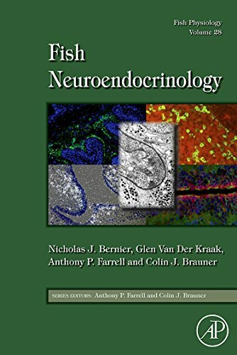 Fish Physiology: Fish Neuroendocrinology (Volume 28) (Fish Physiology, Volume 28, Band 28)