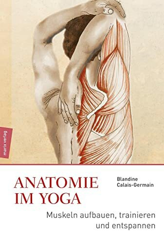 Anatomie im Yoga: Muskeln aufbauen, trainieren und entspannen