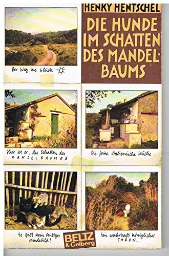 Die Hunde im Schatten des Mandelbaums: Erzählung (Beltz & Gelberg)