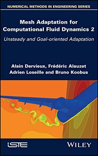 Mesh Adaptation for Computational Fluid Dynamics: Unsteady and Goal-Oriented Adaptation (2) (Numerical Methods in Engineering, Band 2)