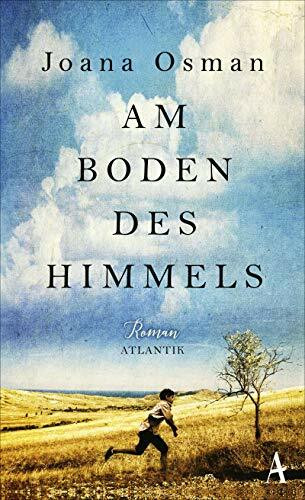 Am Boden des Himmels: Roman