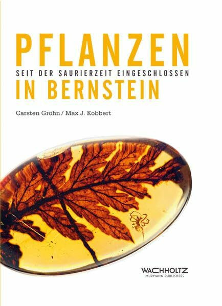 Pflanzen in Bernstein: Seit der Saurierzeit eingeschlossen
