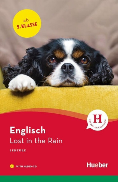 Lost in the Rain