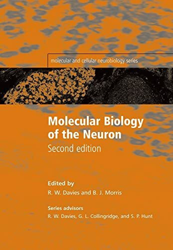 Molecular Biology of the Neuron (Molecular and Cellular Neurobiology)