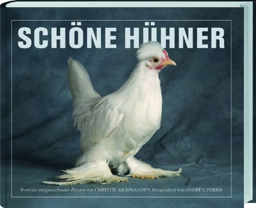 Schöne Hühner