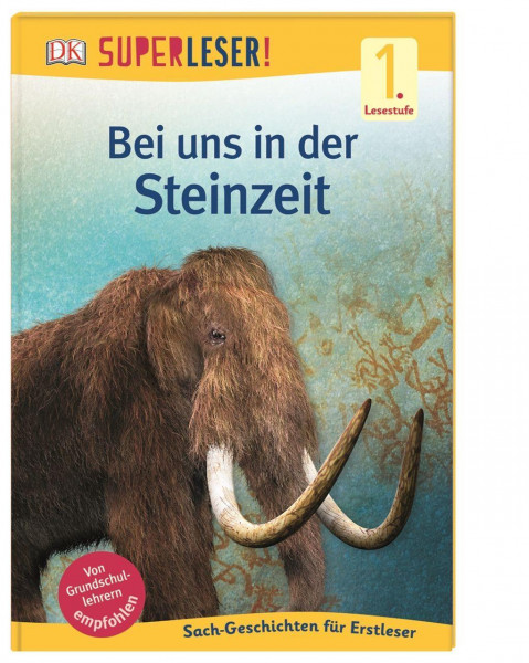 SUPERLESER! Bei uns in der Steinzeit