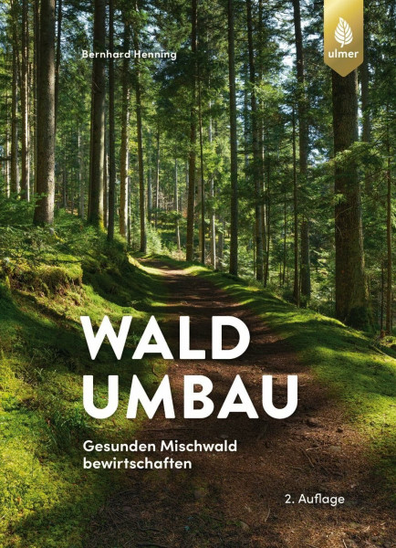 Waldumbau: Gesunden Mischwald bewirtschaften