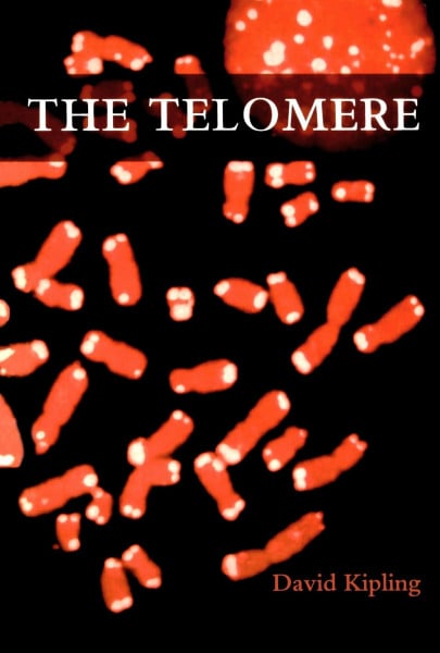The Telomere