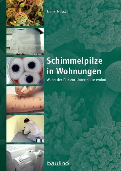 Schimmelpilze in Wohnungen. Wenn der Pilz zur Untermiete wohnt